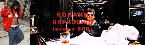 apvp Алексин